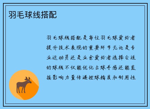 羽毛球线搭配